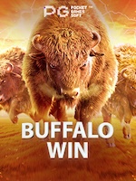 Review Buffalo Win Terlengkap untuk Pemain Baru